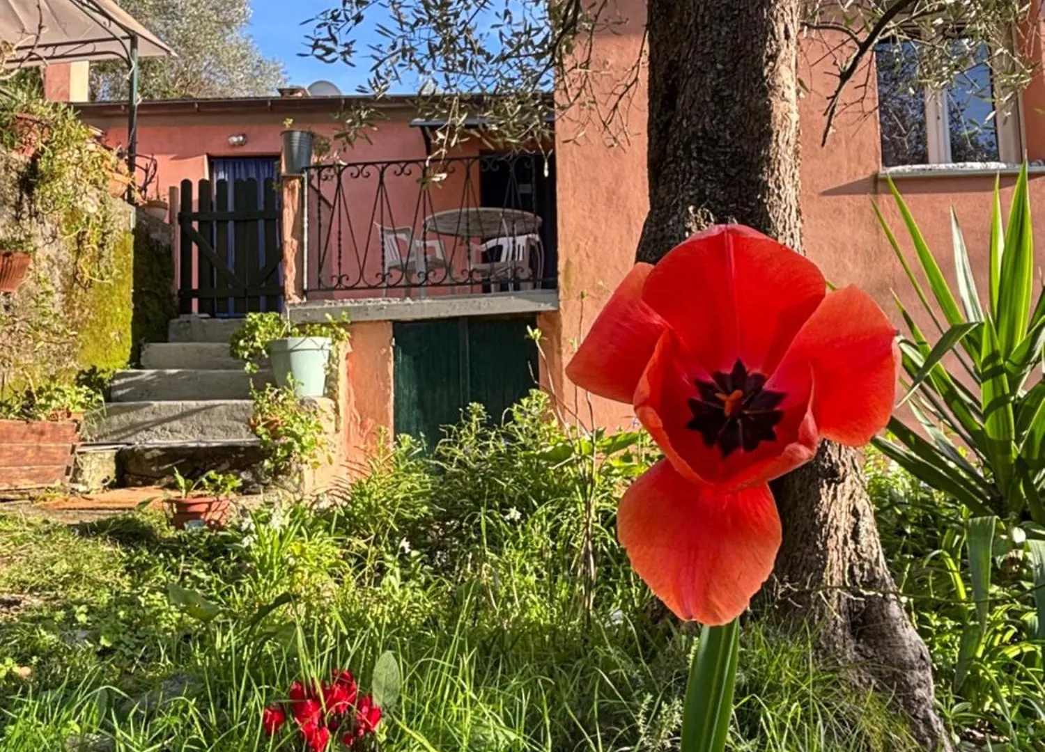 Vila La Gaiada Monterosso al Mare Prázdninový dům