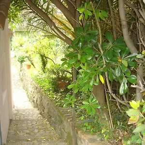 Sunflower Cosy - Il Girasole Monterosso al Mare